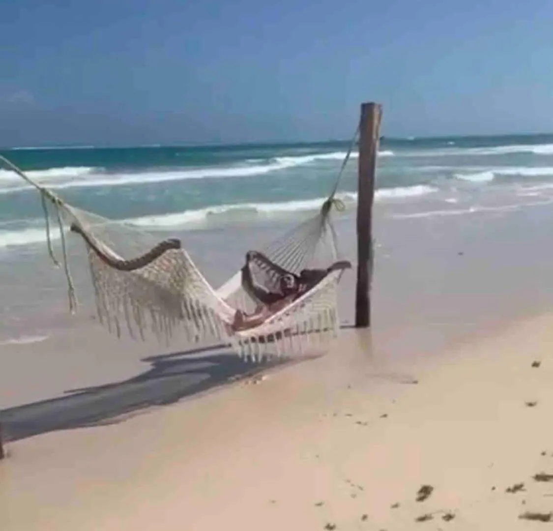 Villa G , Villa With Palapa In Tulum